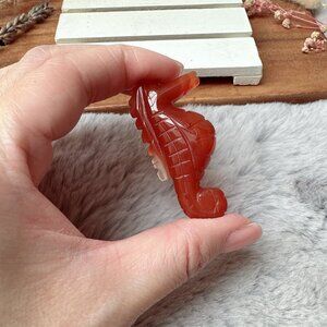 Cute Small Carnelian Seahorse Carving